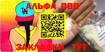 индика Кингисепп