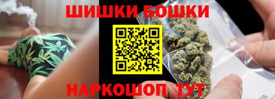 индика Кингисепп