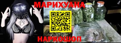 индика Кингисепп