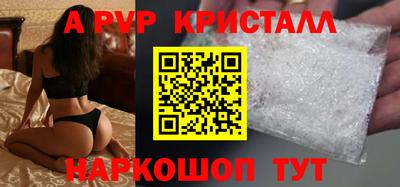 индика Кингисепп