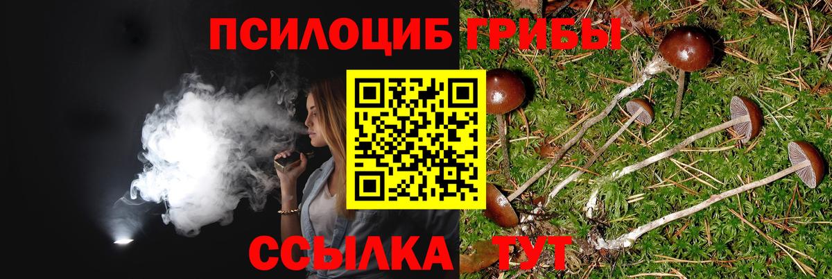Котовск  Галлюциногенные грибы MAGIC MUSHROOMS  Галлюциногенные грибы Psilocybine cubensis  Вход с VPN 