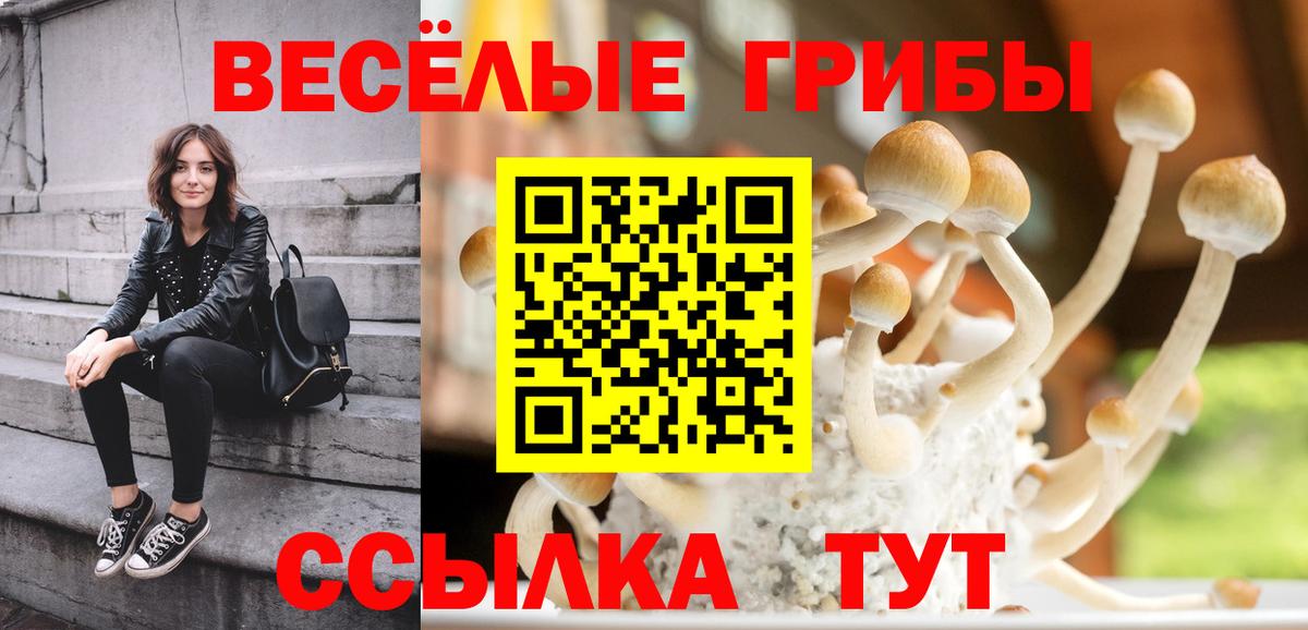 Псилоцибиновые грибы Psilocybe Котовск